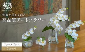 エミリオロバ　ファレノプシス4点セット