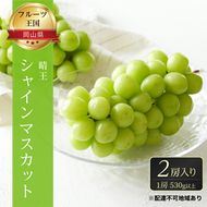 ぶどう 2026年 先行予約 ご家庭用 シャイン マスカット 晴王 優品 2房入り（1房 530g以上 露地栽培） ブドウ 葡萄  岡山県産 国産 フルーツ 果物 岡山の葡萄