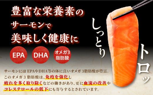 ギンサケサーモン【800g】 小分け 下処理不要 絶品の「塩締め」レシピ ふるさと納税 海鮮 サーモン 鮭 魚 銀鮭 刺身 生食用 さけ サケ ふるさと ランキング 人気 魚介類 魚介 北海道 白糠町