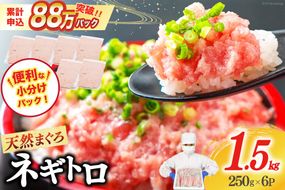 【ZIP!で紹介】ネギトロ 250g×6p 計1.5kg 小分け パック [マルハニチロオーシャン 静岡県 吉田町 22424374] ねぎとろ まぐろたたき 天然 マグロ めばち きはだ 1kg以上 冷凍 魚介 海鮮