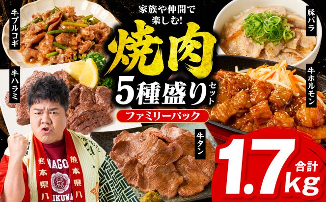 【訳あり】 焼肉セット 5種盛り 計1.7kg 牛肉 タン ハラミ みそ ホルモン プルコギ 豚バラ 豚肉 カルビ 肉 味付き おかず 焼き肉 炒め物 お惣菜 おつまみ バーベキュー