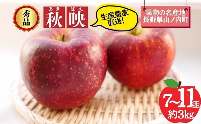 【2026年10月発送】秋映 秀品 約3kg 7～11玉 りんご 果物 信州 長野