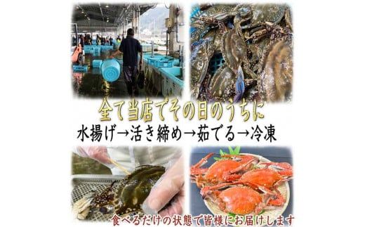 カニ 1kg (約3杯前後) 冷凍 ボイル済み 調理済み 国産 愛知県 南知多町 ワタリガニ カニ 蟹 カニ爪 蟹爪メス 贈答 プレゼント