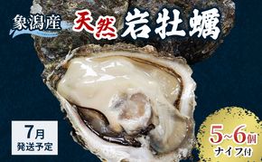 【 先行予約 7月上旬～下旬発送予定】象潟産 天然岩牡蠣 5～6個 ナイフ付【 牡蠣 夏牡蠣 かき 象潟 生食可 魚介類 海鮮 海産物 海の幸 】