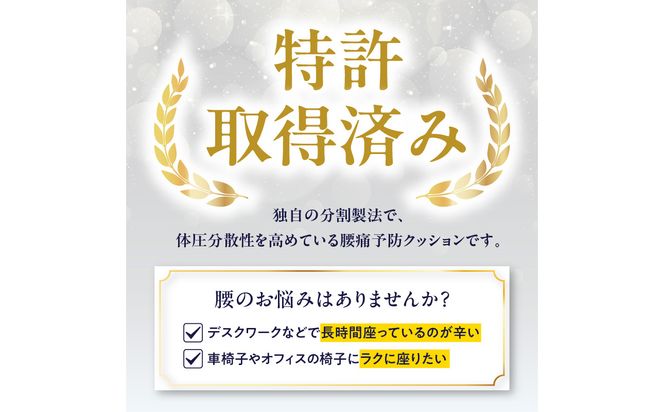 【R11011】腰痛予防に！体圧分散 フォーケアクッション ProAir