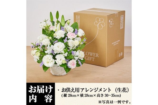 フローリストにおまかせ！季節のお供え用アレンジメント(生花：Mサイズ・縦28cm×横28cm×高さ30~35cm)花 花束 フラワー 植物 お供え 供花 仏花 命日 仏事 法事 贈り物【FM-13】
