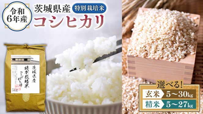 ＼ 選べる内容量 ／ 令和6年産 茨城県産 コシヒカリ 特別栽培米 （精米 5kg・10kg・27kg / 玄米 5kg・10kg・30kg） 新米 白米 こしひかり 米 コメ こめ 単一米 限定 茨城県産 国産 美味しい お米 おこめ おコメ [EH07-NT00]