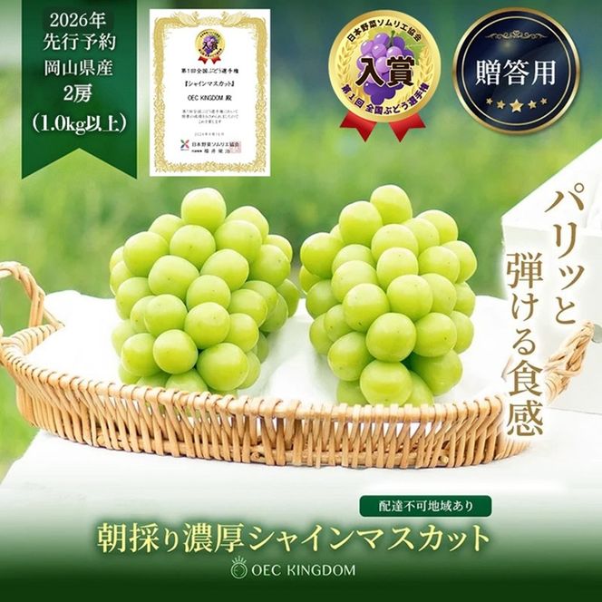 ぶどう 2026年 先行予約 シャインマスカット 2房(1kg以上)  贈答クラス ブドウ 葡萄 岡山県産 国産 フルーツ 果物 ギフト OEC KINGDOM ぶどう家 果物類