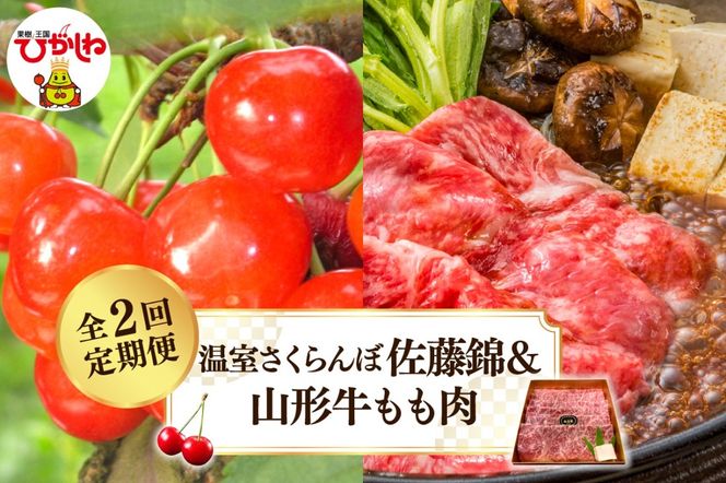 【2025年 先行予約】温室さくらんぼ佐藤錦＆山形牛もも肉 全２回定期便 (2025年4月からスタート) 山形県 東根市 hi026-017-2