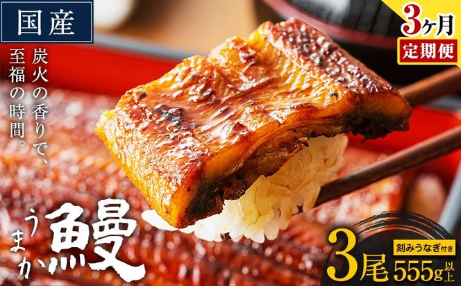 【3ヶ月定期】うなぎ 国産 鰻 特上サイズ 3尾 合計555g (刻みうなぎ30g×2袋含む) うまか鰻 《申込み翌月から発送》 九州産 たれ さんしょう 付き ウナギ 鰻 unagi 蒲焼 うなぎの蒲焼 惣菜 ひつまぶし きざみうなぎ 特大サイズ 訳あり 定期便 蒲焼き ふるさとのうぜい---mf_fsktei_24_53000_mo3num1_3p---