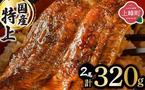 《順次発送》『国産』うなぎ蒲焼 2尾 計320g [B-1124-PE]