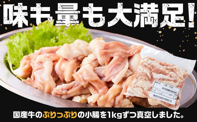 《業務用・訳アリ》国産牛　小腸　5kg 372013_HM181