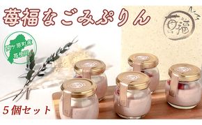 【関ケ原町産苺福使用】苺福なごみぷりん　5個セット