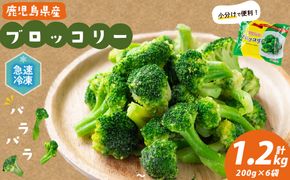 鹿児島県産 冷凍ブロッコリー(計1.2kg) a0-388