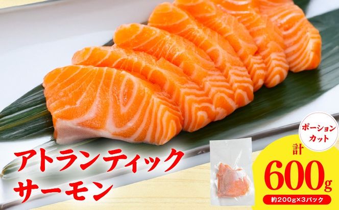 G3544 【スピード発送】アトランティックサーモン 600g【小分け 200g×3P 柵切り 刺身 魚介 海鮮 さーもん 生食 お試し】