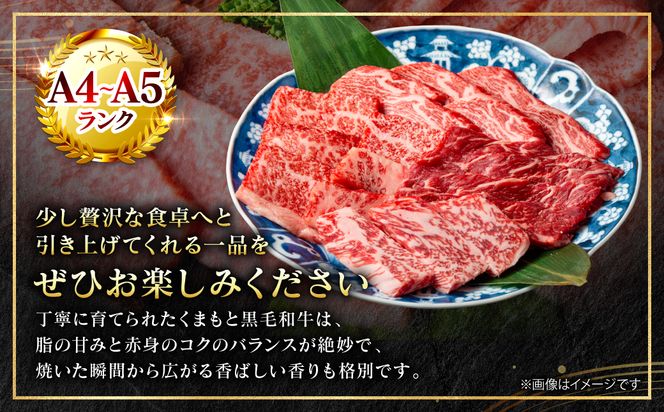 【A4～A5ランク】 くまもと黒毛和牛 焼肉用 250g （250g×1パック） 和牛 牛肉 お肉 黒毛和牛 冷凍 焼肉 BBQ おかず ギフト 熊本県 八代市