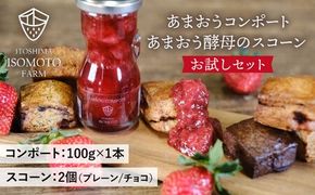 コンポート ・ スコーン お試しセット 糸島市 / TANNAL [ATB034] あまおう いちご 苺 スイーツ 焼き菓子 スコーン コンポート ソース ジャム