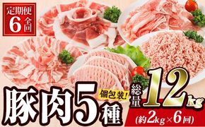＜定期便・全6回 (毎月)＞ 豚肉 バラエティーパック (2kg×6回・総量12kg) 豚バラ しゃぶしゃぶ 鍋 とんかつ ロース 小分け 個包装 豚こま 小間切れ スライス ミンチ 5種 セット 詰め合わせ 冷凍 食べ比べ 国産 大分県 佐伯市【BD322】【西日本畜産】