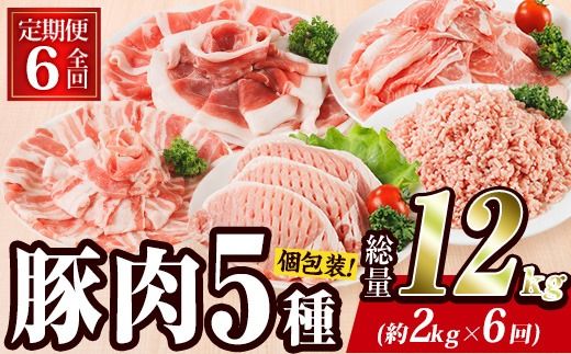 ＜定期便・全6回 (毎月)＞ 豚肉 バラエティーパック (2kg×6回・総量12kg) 豚バラ しゃぶしゃぶ 鍋 とんかつ ロース 小分け 個包装 豚こま 小間切れ スライス ミンチ 5種 セット 詰め合わせ 冷凍 食べ比べ 国産 大分県 佐伯市【BD322】【西日本畜産】