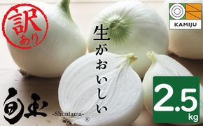 (2026年発送)【数量限定】訳あり 新玉ねぎ 生がおいしい 神重農産のブランド玉ねぎ「旬玉」2.5kg ブランド玉ねぎ 玉ねぎ 国産 愛知県産 野菜 やさい 農家直送 畑直送 旬 期間限定 たまねぎ 先行予約 旬 特産 高評価 高リピート 人気 H105-152