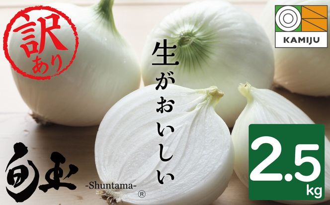 【数量限定】訳あり 新玉ねぎ　生がおいしい 神重農産のブランド玉ねぎ「旬玉」2.5kg　ブランド玉ねぎ 玉ねぎ 国産 愛知県産 野菜 やさい 農家直送 畑直送 旬 期間限定 たまねぎ 先行予約 旬 特産 高評価 高リピート 人気 H105-152