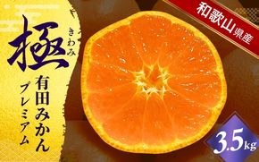 ＼光センサー選別／極 有田みかんプレミアム 約3.5kg【選りすぐりの上位20％をお届け】2S～L\サイズ 有機質肥料100% ※2025年11月下旬～2026年1月上旬頃に順次発送予定 ※北海道・沖縄・離島への配送不可/ミカン 蜜柑 柑橘 フルーツ くだもの 果物 温州 有田 甘い 高級 贈答品 贈り物 新鮮  12月 【nuk168A】