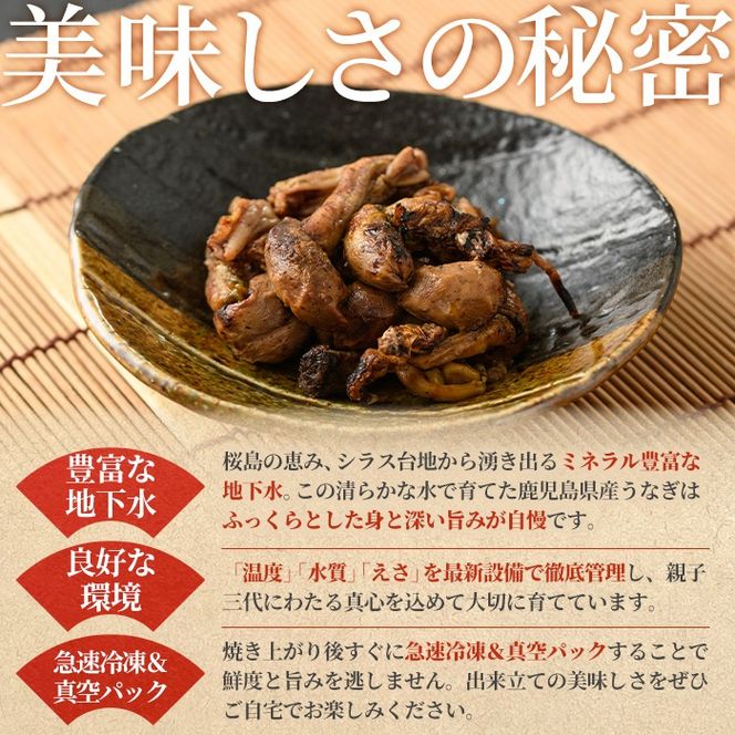 【11028】東串良町のうなぎ肝の素焼き(計500g・100g×5P)うなぎ 高級 ウナギ 鰻 国産 鹿児島 ふるさと 人気【アクアおおすみ】