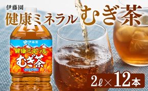 健康ミネラルむぎ茶 2L×6本×2ケース 飲料類 お茶 麦茶 [D07359]