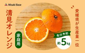 【先行受付】【家庭用】清見オレンジ 5kg | みかん 柑橘 ミカン 蜜柑 mikan 果物 フルーツ 糖度 甘い きよみ タンゴール 温州 オレンジ ミックス 愛媛県 伊方町 Misaki Base ※2025年3月中旬～4月中旬頃に順次発送予定 ※離島への配送不可