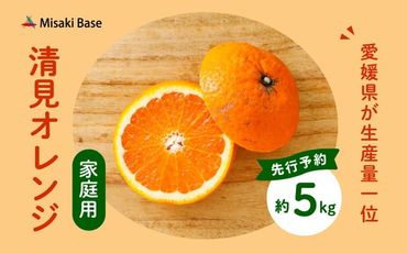 [先行受付][家庭用]清見オレンジ 5kg | みかん 柑橘 ミカン 蜜柑 mikan 果物 フルーツ 糖度 甘い きよみ タンゴール 温州 オレンジ ミックス 愛媛県 伊方町 Misaki Base ※2025年3月中旬〜4月中旬頃に順次発送予定 ※離島への配送不可