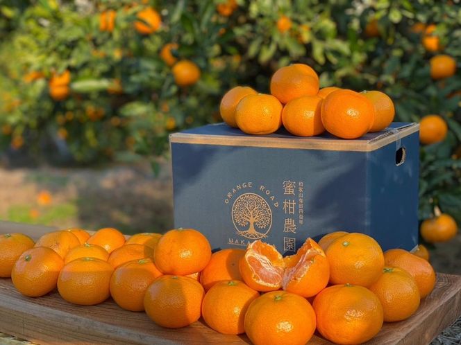 有田みかん 家庭用  3kg　濃厚完熟　お試し 味重視 (和歌山県産) BA47