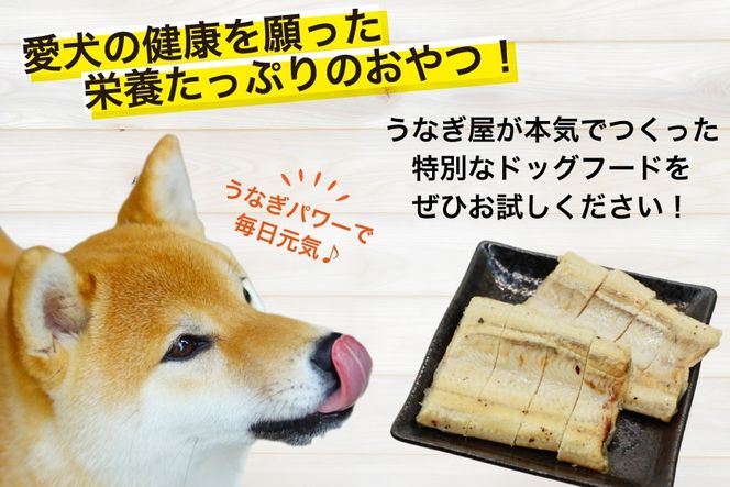 ドッグフード うなぎ 白焼き 50g 3パック 計150g [ヤマカ松本商店 静岡県 吉田町 22424607] ペットフード 犬用 犬 いぬ ペット エサ 餌 おやつ