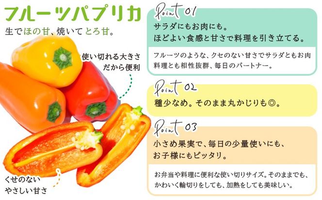 サラ詰め合わせセット 野菜13個 サラトリオ 3個 プラムトマト 5個 フルーツパプリカ 5個 野菜 レタス 3種のレタス トマト パプリカ 《30日以内に出荷予定(土日祝を除く)》 笠岡アグリセンター 野菜 岡山県 笠岡市---H-59---