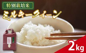 米 ミルキークイーン 2kg 農家直送 特別栽培米 低アミロース米 精米 お米 酢飯 新生活 贈り物 人気米 おにぎり 炊き込みご飯 ご飯 白米 コメ 贈答 静岡県 藤枝市