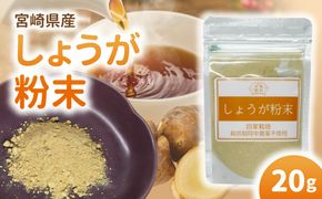 しょうが 粉末 N048-YA0494