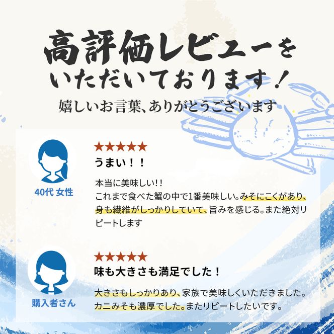 かに 期間限定 茹で 越前がに 約700g以上 1杯 ずわい蟹 ボイルカニ ボイル 魚介類