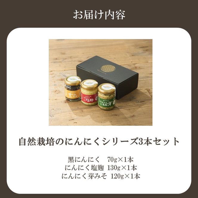 黒にんにく・にんにく塩麹・にんにくの芽みそ 3種セット（自然栽培のにんにくシリーズ）【むなかたひかり】_HA2054 にんにく 黒にんにく にんにくの芽 麹 味噌 福岡県宗像市 福岡県 宗像市