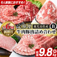 ＜定期便・全6回(偶数月)＞6人家族用！鹿児島県産 牛肉・豚肉 詰め合わせ B (総量9.8kg) 国産 黒豚 しゃぶしゃぶ 肩 ロース スライス 訳あり 切り落とし 黒毛和牛 サーロイン ステーキ 黒豚 バラ カタ ウデ 小分け セット 【スターゼン】akn042-38