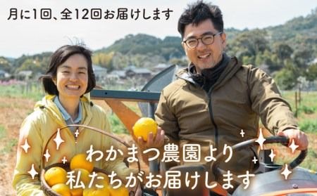 【全12回定期便】【 植物 由来 】万能 濃縮 甘夏 みかん 洗剤 糸島市 / わかまつ農園 [AHB019]