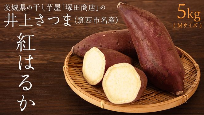 【 塚田商店 】 井上さつま 「 紅はるか 」 5kg ( Mサイズ ) 新物 ブランド芋 茨城県産 筑西市産 さつまいも サツマイモ いも 芋 イモ [BD036ci]