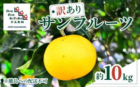 【訳あり】サンフルーツ 約10kg ※離島への配送不可 IKTAU012