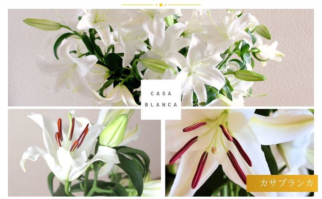 カサブランカ(規格外品)5本束 花 お花 規格外 花束 切り花 新潟県 十日町市