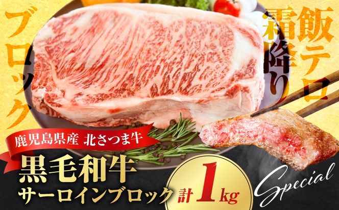 北さつま牛 サーロインブロック　K137-007