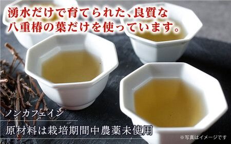 糸島 ・ 椿茶 2袋（ 糸島産 椿の葉 100%使用 ）【泉屋六治】【いとしまごころ】[AGC002] 健康茶 茶 椿 ツバキ 国産 ノンカフェイン 送料無料