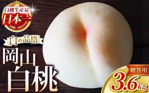 【2026年先行予約】 岡山白桃 3.6kg 化粧箱入り・贈答用 高級 白桃 花田青果【7月下旬～9月下旬まで順次発送予定】/ 桃 もも モモ 果物フルーツ 贈答品 贈り物 岡山県【hnds002】