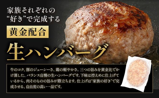 ハンバーグ 鉄板焼き 肉肉ハンバーグ 選べるソース デミグラスソース ジャポネソース 食べ比べ 20個 《1月出荷予定》熊本県 国産 牛肉 豚肉 鶏肉 ハンバーグ 専門店監修 小分け デミ ジャポネ 肉---oz_fhr_ac1_r7_10000_20i_n---