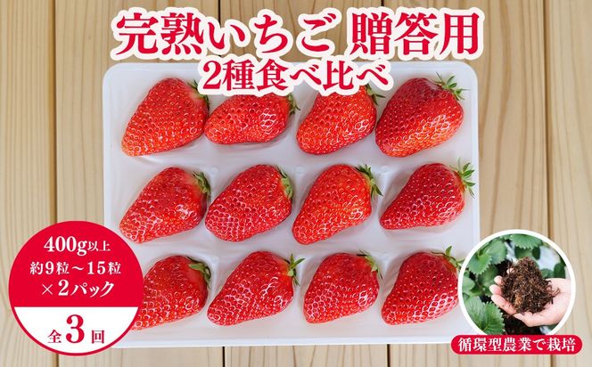 【3回定期便】西粟倉村の完熟いちご 2種 800g 食べ比べセット M-FI-B05A