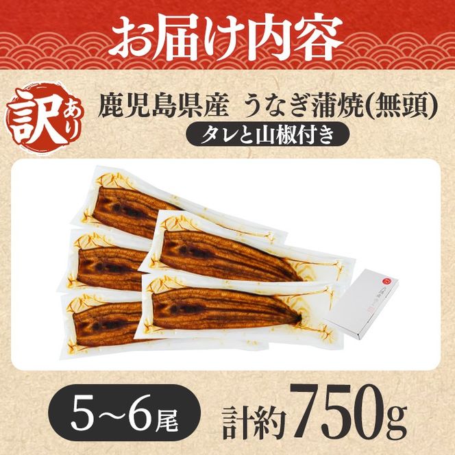 【0184359a】【緊急支援品】＜訳あり＞鰻の蒲焼き(無頭)(5～6尾・計約750g・タレ、山椒付) うなぎ ウナギ 鰻 国産 蒲焼 蒲焼き たれ 鹿児島 ふるさと 人気 支援 【アクアおおすみ】