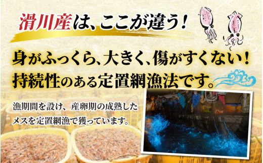 【先行予約】ほたるいか ボイル＆刺身セット【27年3月中旬以降順次発送】カネツル砂子商店【冷蔵 ホタルイカ 旬 朝どれ おつまみ 期間限定 海鮮 ボイル 刺身 ほたるいか 蛍烏賊 ボイルほたるいか 富山県 富山 富山県産 魚介類 いか イカ 】