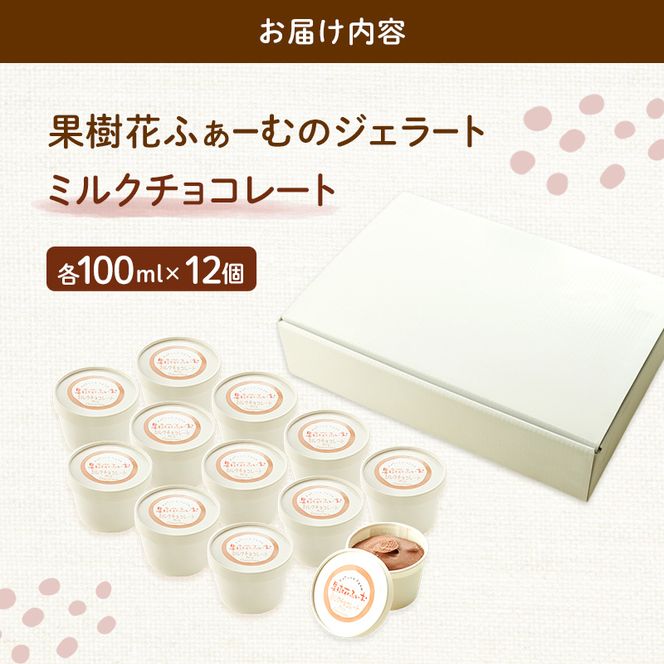 ジェラート チョコ 12個 アイス アイスクリーム スイーツ お菓子 菓子 おやつ 兵庫県 加西市